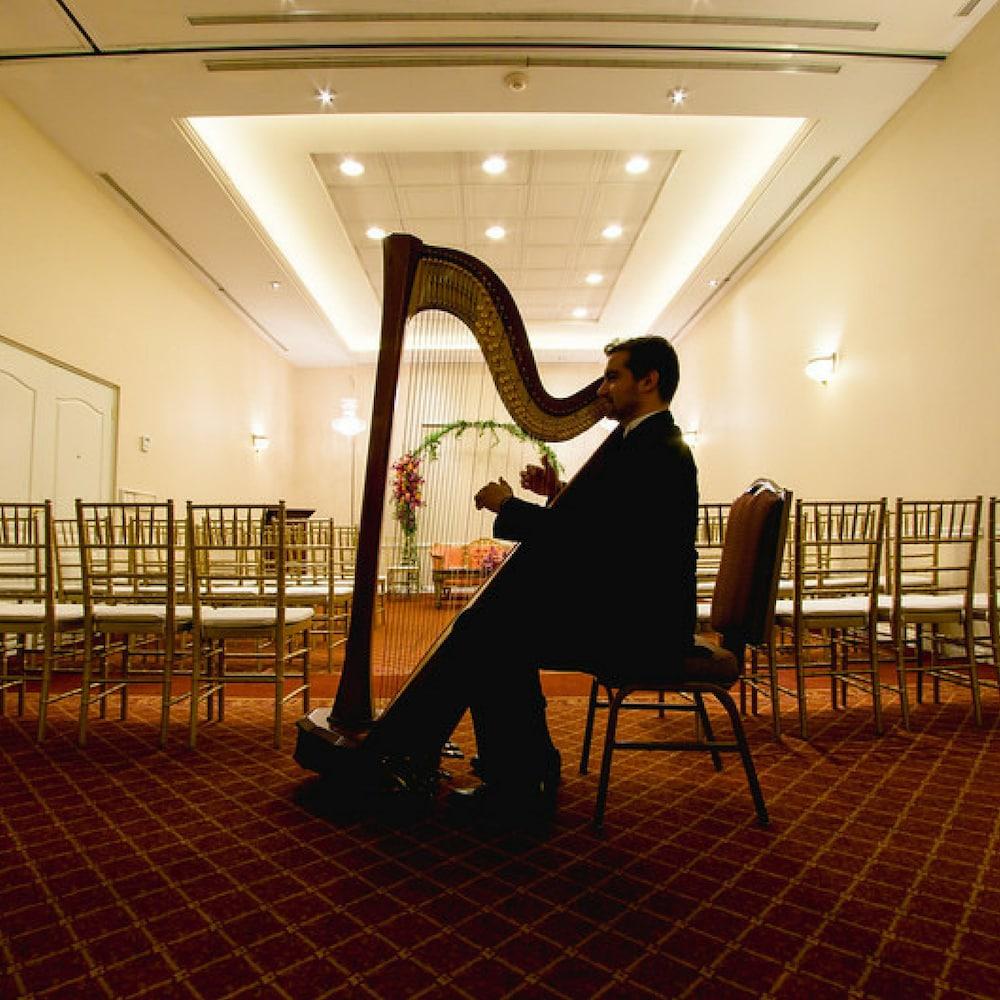 Safi Royal Luxury Valle San Pedro Garza Garcia Buitenkant foto Harpist at a wedding