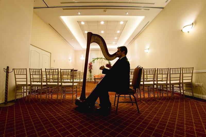 Safi Royal Luxury Valle San Pedro Garza Garcia Buitenkant foto A harpist playing at a wedding
